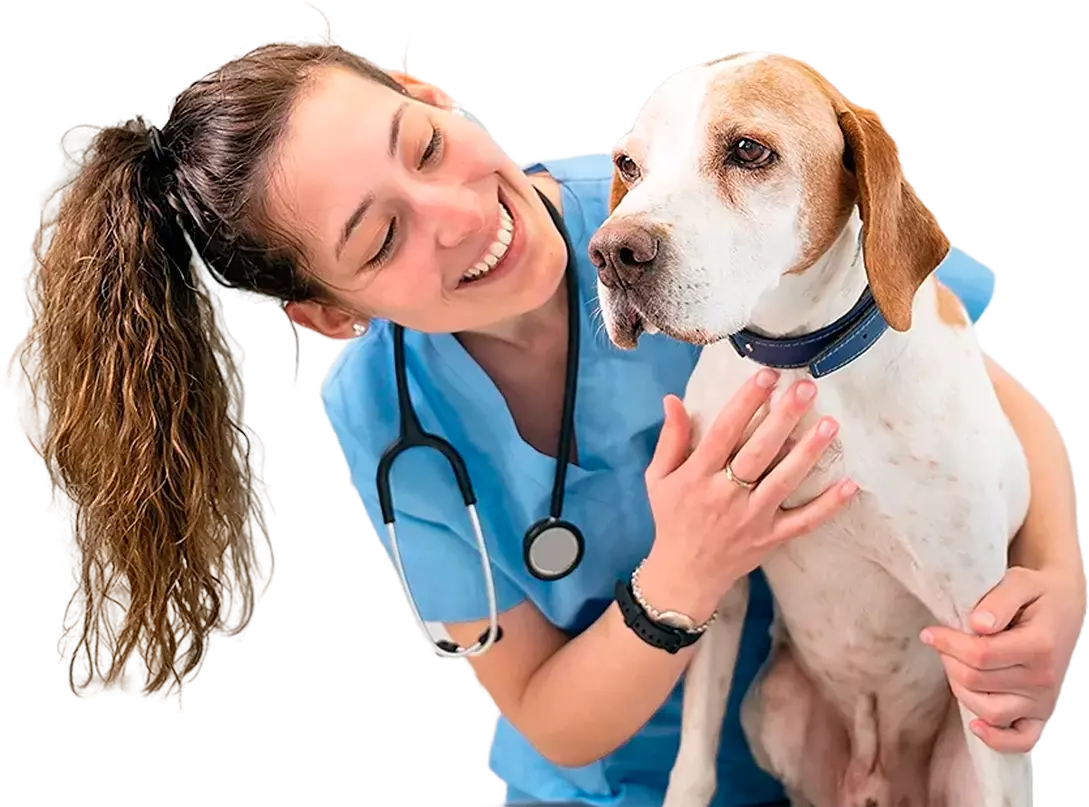 Veterinária abraçando um cachorro